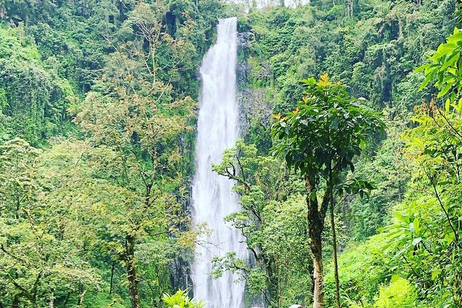 Materuni Waterfalls and Coffee Tour - Tour Activities