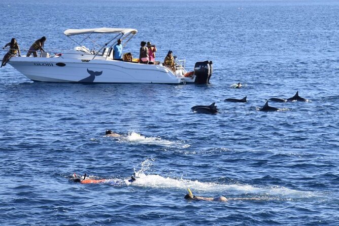 Mauritius : Dolphins Swim and Ile Aux Bénitiers With BBQ - Inclusions and Additional Information