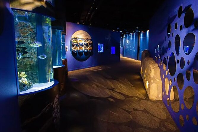 Mauritius Odysseo Oceanarium in Port Louis - Cancellation Policy