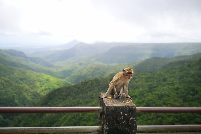 Mauritius Sightseeing -Guided South West Tour Private Tour