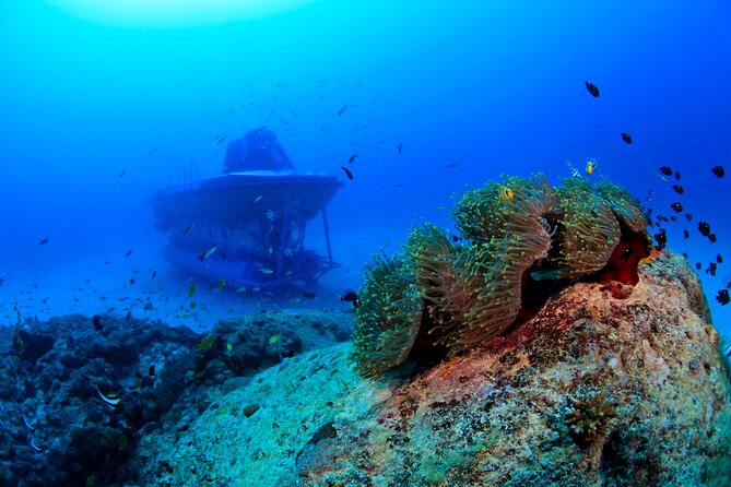Mauritius Unique Submarine Tour - Pricing Information