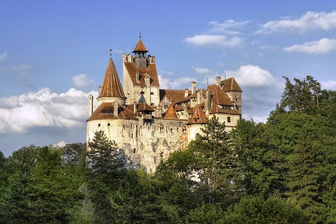 Meet the Bears & Visit Dracula Castle Day Tour From Bucharest - What to Expect