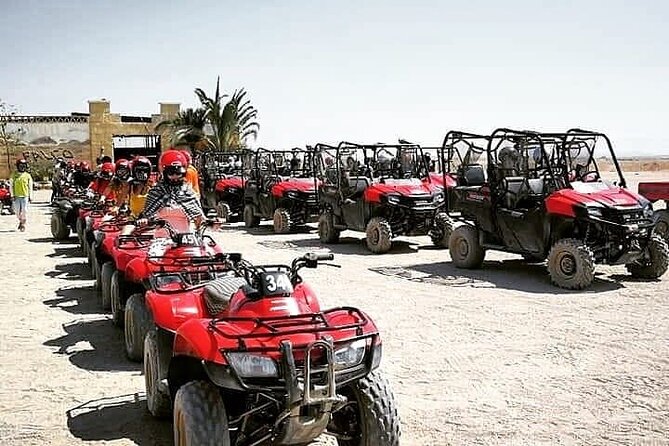 Mega Safari ATV Quad & Buggy in Hurghada - Activities Offered