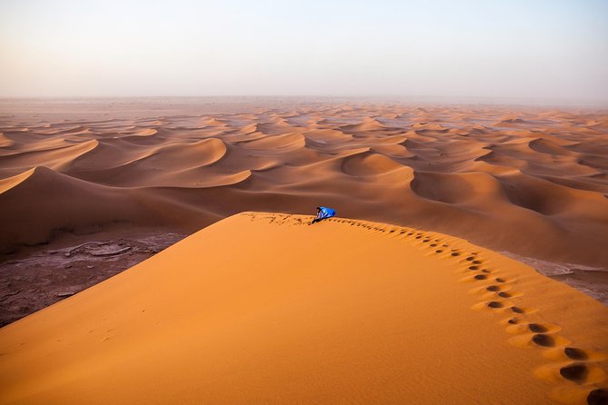 Méhari Trip in the Desert From M'hamid - What to Expect
