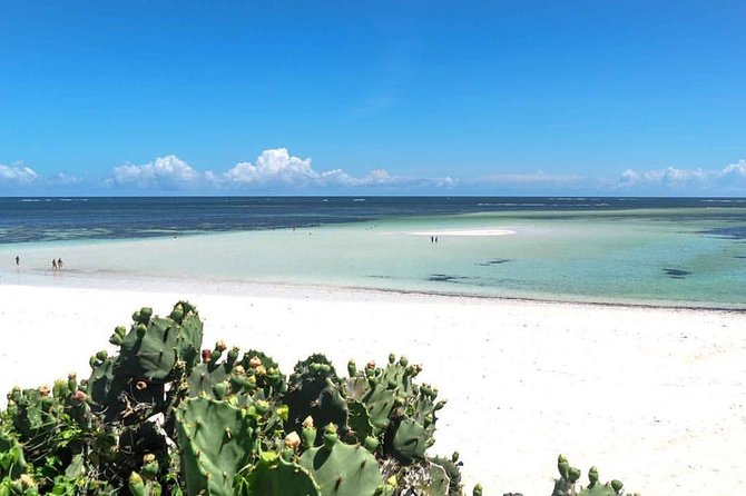 Mida Creek Safari Blue - Pricing and Lowest Price Guarantee