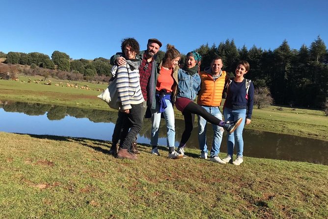 Middle Atlas , Cedar Forest and Azrou Day Trip From Fez - Exploring the Cedar Forest