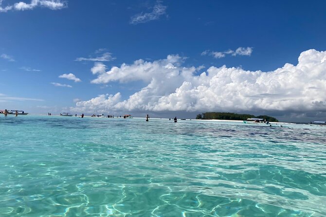 Mnemba Island Dolphin Tour and Stonetown Walking Tour - Tour Details