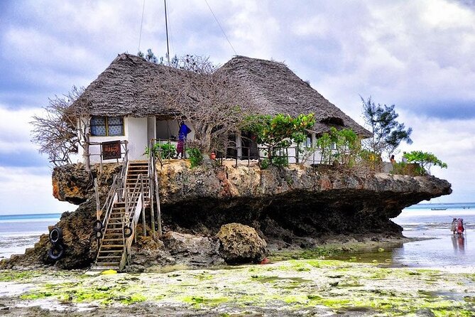 Mnemba Island Tour; The Island Pongwe; Kuza Cave; Paje Beach;The Rock Restaurant - Dining Options