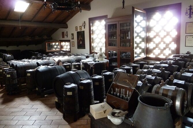 Modena Excellencies Pavarotti Ferrari and Balsamic Vinegar Tour - Tour Location