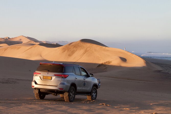 Mola Mola Day With Beach Braai Lunch - Location and Meeting Point