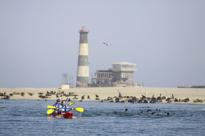 Mola Mola Kayaking Experience With a Licensed Guide - What To Expect
