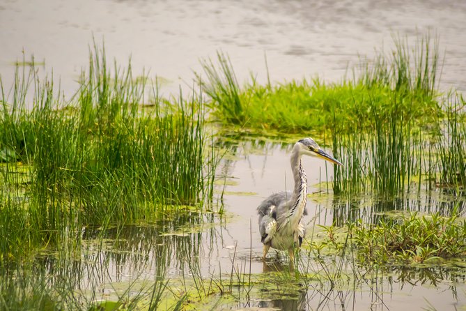 Mombasa 2 Days Safari- Tsavo & Amboseli