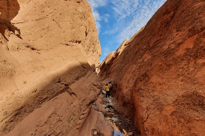 Monkey Fingers Canyon Hike in Dades Gorge - Price and Booking