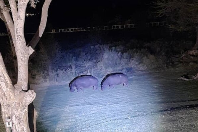 Moonlight Safari - Meeting and Pickup Information