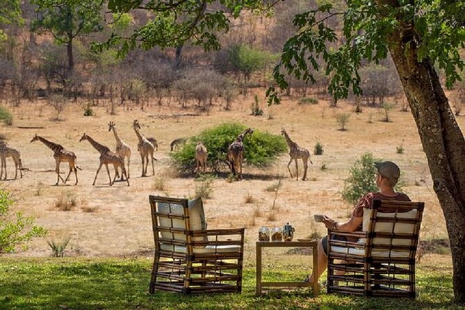 Morning or Afternoon Game Drive In Victoria Falls - Pickup Points and Group Limit