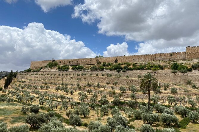 Morning Private Tour to Discover Jerusalem - Tour Highlights