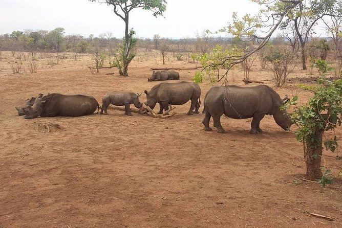 Mosi Oa Tunya Game Drive & Rhino Walk - Inclusions and Exclusions
