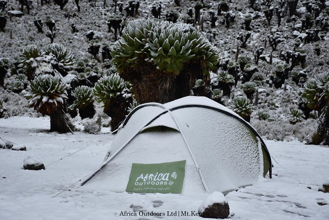 Mount Kenya Chogoria-Sirimon Route(5 Days) - Meeting and Pickup Information
