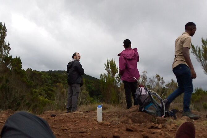 Mount Kilimanjaro 5 Days Marangu Route (Oldest, Easiest and Well Established )