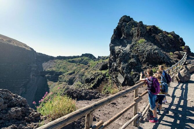 Mount Vesuvius Shared Tour From Sorrento