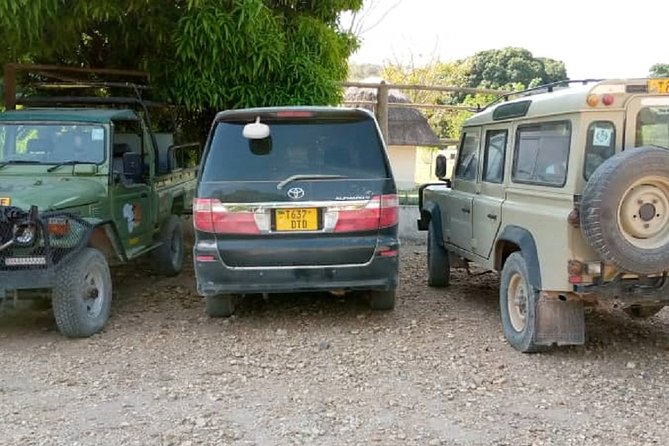 Mpanda Airport Pickup and Drop- off To/From Katavi National Park.