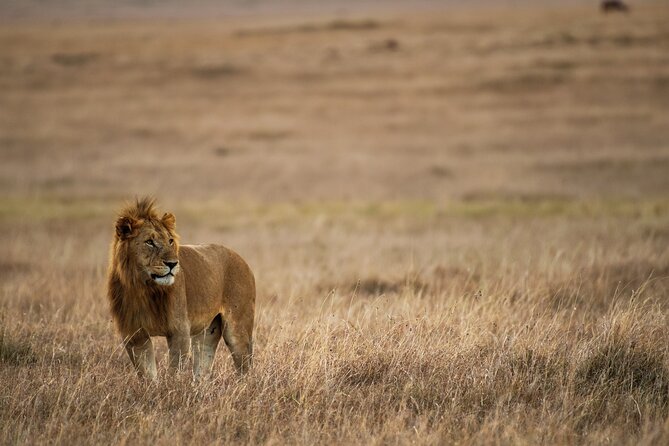 Murchison Falls and Queen Elizabeth National Park 5-Day Tour