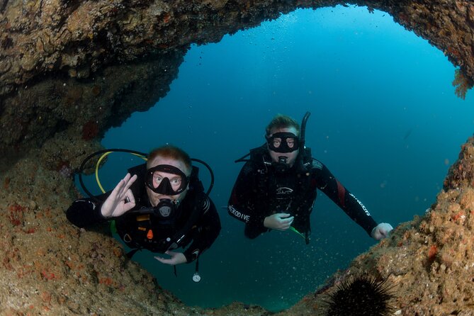 Muscat Scuba Diving Trip to Daymaniyat Islands - Participant Requirements and Recommendations