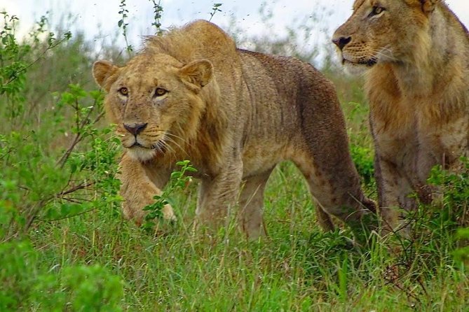 Nairobi National Park Game Drives - Location and Duration