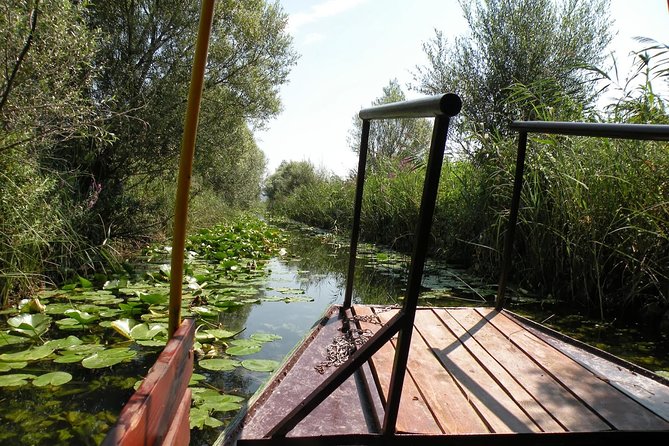 National Bird Reserve Hutovo Blato Photo Safari - Inclusions and Pickup Information