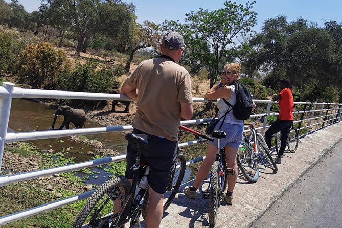 Nature and Falls Tours - Tour Highlights