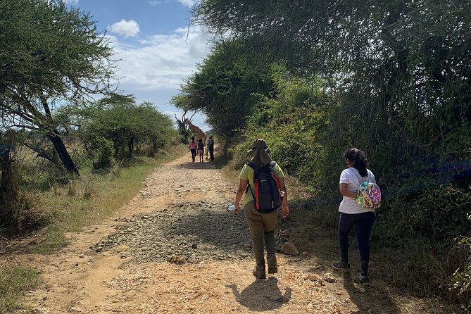 Nature Walk With Giraffes in Mombasa - Location Details