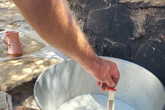 Naxos E-Bike Guided Tour Ode-Yssey Uncharted Plus Cooking Class - Menu Highlights