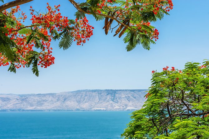 Nazareth and the Sea of Galilee Day Trip From Jerusalem - Itinerary Details