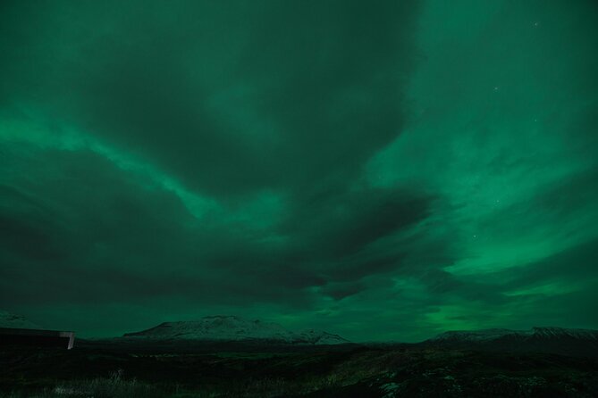 New Years Day Northern Lights Tour From Reykjavik - Pickup Information