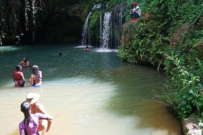 Ngare Ndare Forest Excursion - Meeting and Pickup