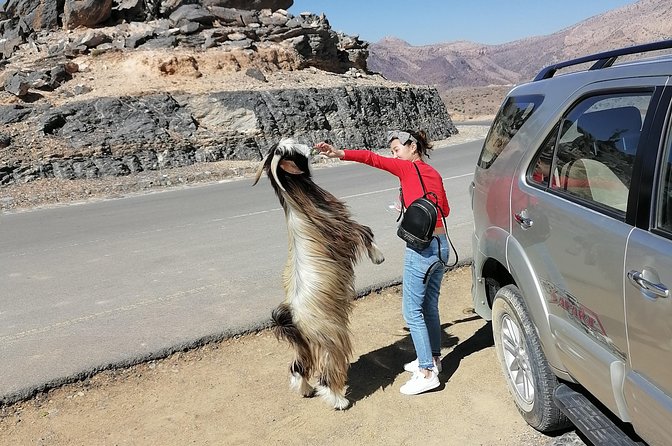 Nizwa. Hambra. Grand Canyon Oman - Tour Highlights