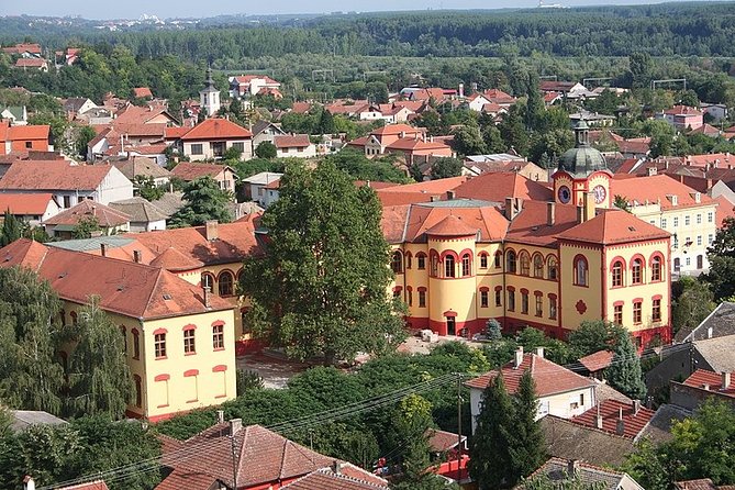 Novi Sad and Sremski Karlovci Wine Tour From Belgrade - Cultural Highlights