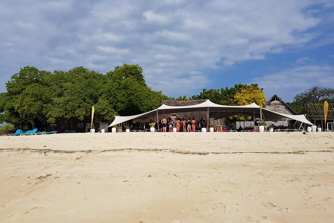 Ocean Safari Tour - Booking Information