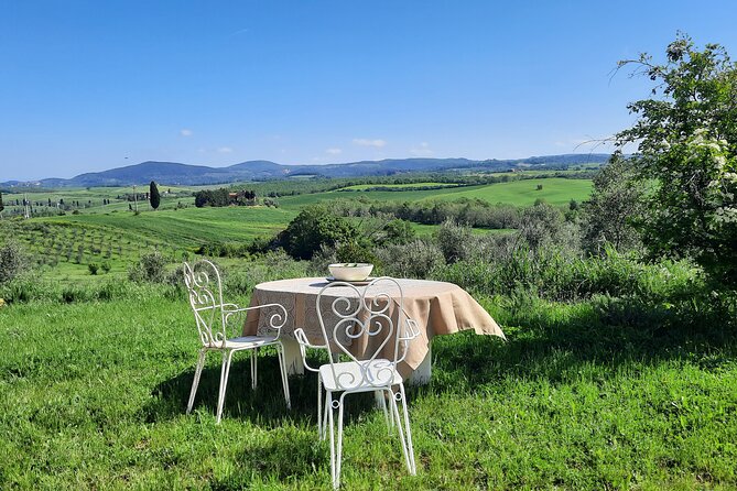 Olive Experience Walk Among the Olive Trees With Tasting - Experience Details