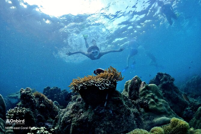 Onbird - PRIVATE ADVENTURE SNORKELING - Explore Half-Moon Reef & Coral Mountain - Tour Inclusions