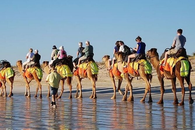 One Day : Agadir Camel Ride + Paradis Valley Trip & Breakfast - What to Expect on the Trip