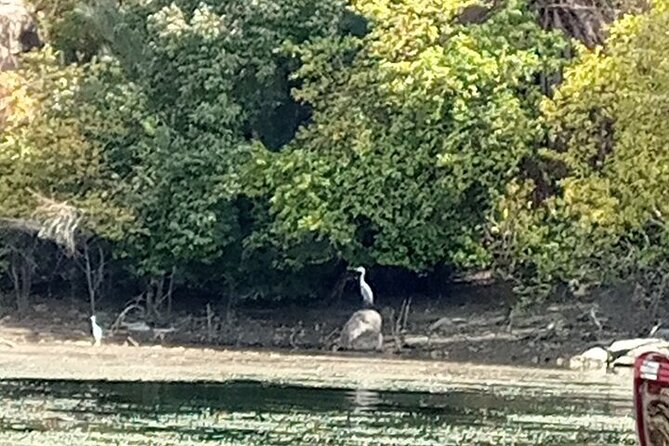 One Day From Aswan Philae, the Unfinished Obelisk, and the High Dam - Aswan Philae Temple Exploration