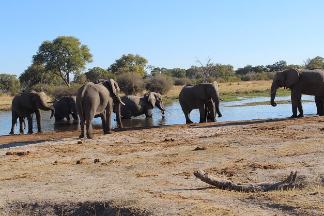 One Day Okavango Delta Boat Safari - Inclusions and Upgrades