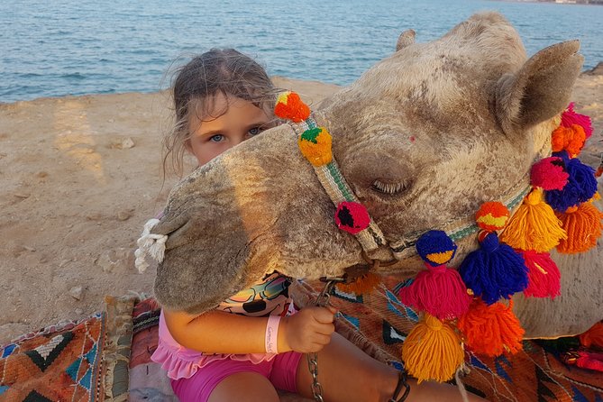 One Hour Camel Ride at Amazing Marsa Alam Desert With Transfer - Marsa Alam - Special Offer