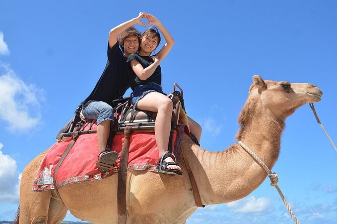 One Hour Camel Riding Adventure With Transfer in Hurghada - Inclusions and Exclusions