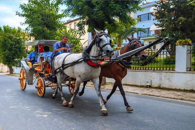 One Hour Private Horse Drawn Carriage Tour in Luxor City