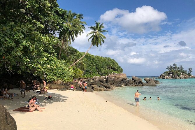 One Way Seychelles Private Airport Transfer - Reviews Overview