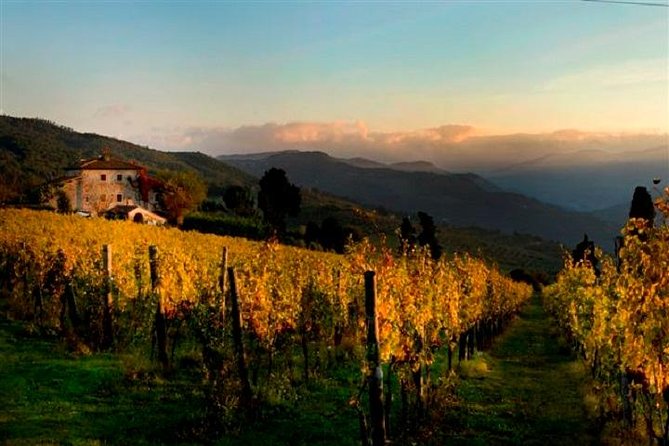 Organic Wine and Gourmet Experience in Tuscany Chianti Hills - Experience Location and Details