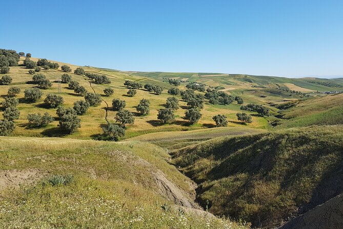 Ourika Falls Private Tour From Marrakech - Meeting and Pickup