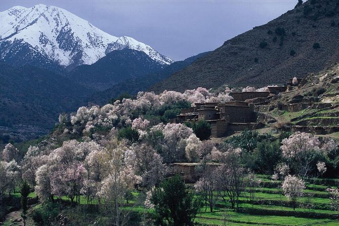 Ourika Valley Day Trip - Tour Details
